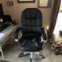 Symple Stuff Carleen Executive Chair Reviews Wayfair